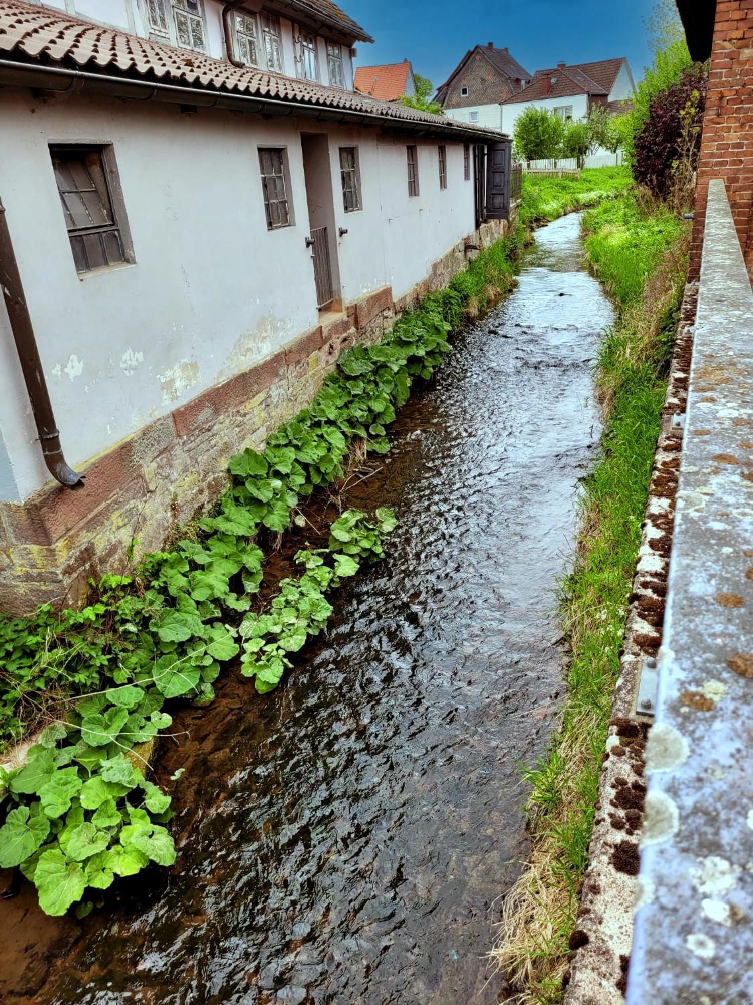 Ferienwohnung Zum Sollingtor Dassel Exterior photo